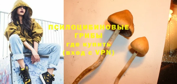 дурь Алексеевка