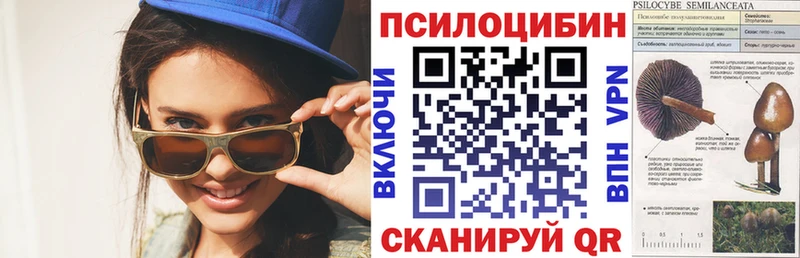 Псилоцибиновые грибы Cubensis купить цена Бирск